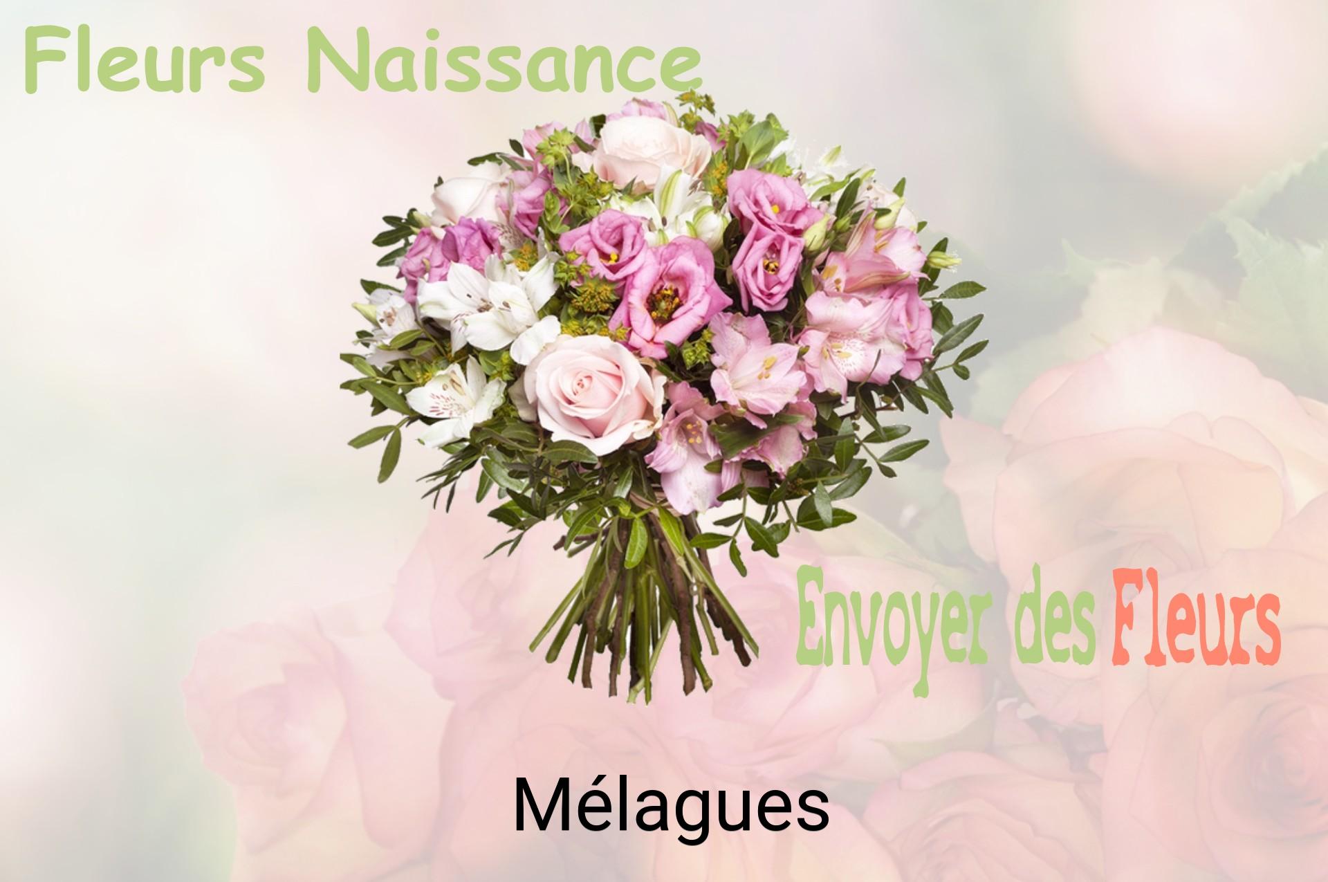 Bouquet de fleurs de naissance livré à Mélagues